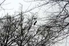 Killikus&reg; Fotographie